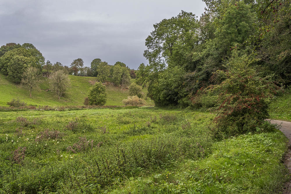 Bradford Dale Bradford Dale